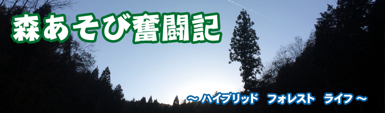 森あそび奮闘記