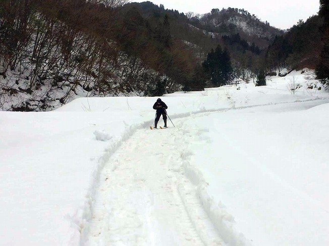 竹スキー